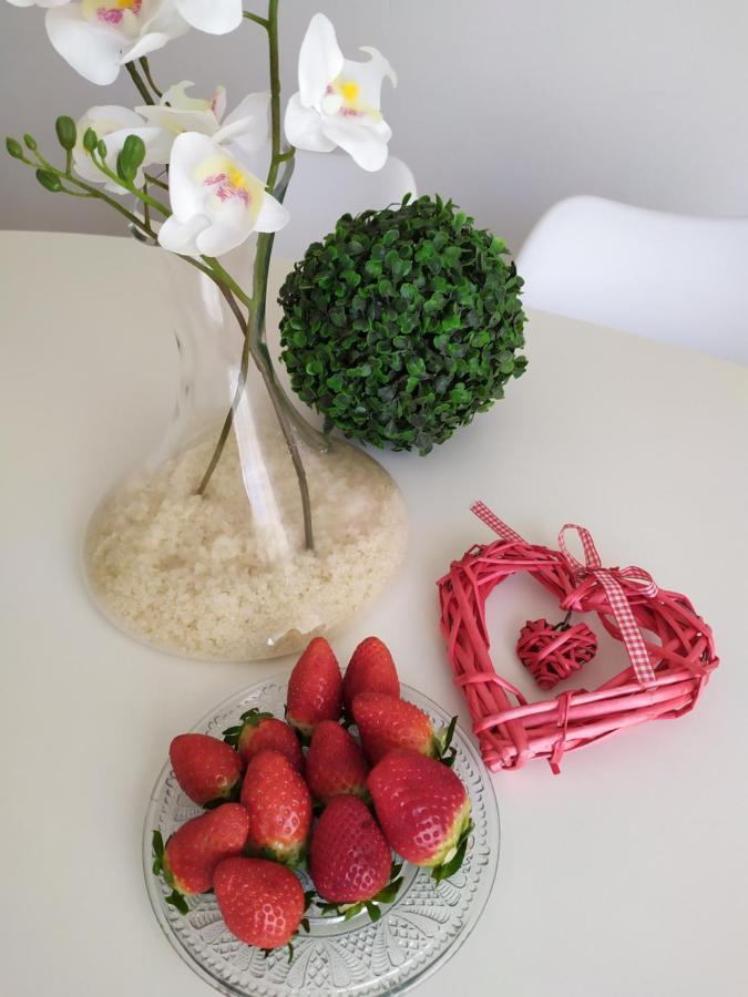 Apartamentos Xert Escapadas En Castellon Cerca De Morella Y Peniscola Chert Sant Mateu 외부 사진